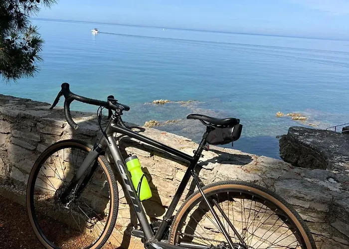 Апартаменты Vinko Вир